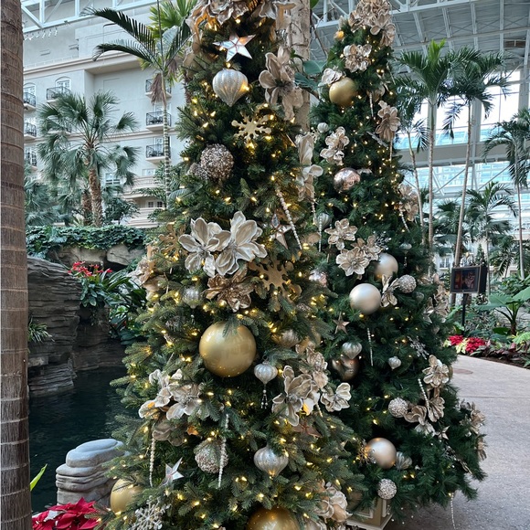 Live show in March !!! All sizes! Great deals! Hello Spring !!❤️ - Picture 2 of 6